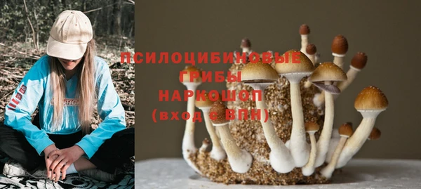 каннабис Алексин